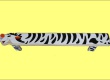 Lavička zebra 195 cm