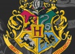 Dětská osuška Harry Potter 087