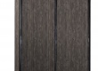 Šatní skříň s posuvnými dveřmi Falko - dub rebap/bronz