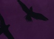 Dětské povlečení Wednesday Raven