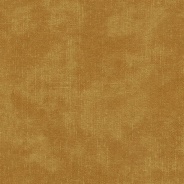 IV. TERRA 48