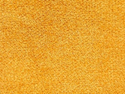 343